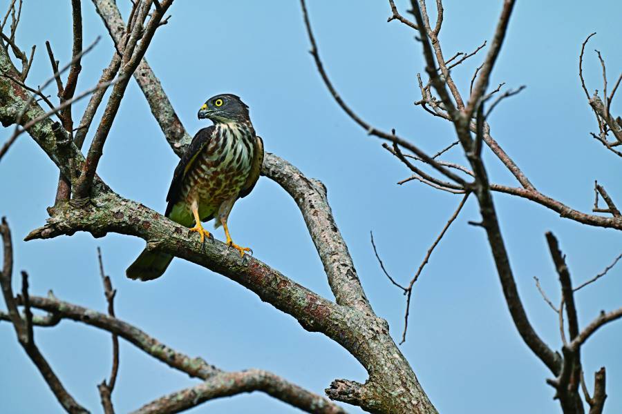 不同難度的國家公園步道都是練習山岳攝影的場域，圖為南湖步道松峰嶺／何昌穎 攝